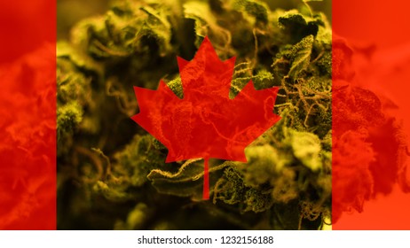 Legalization Of Medical Marijuana In Canada In 2019
