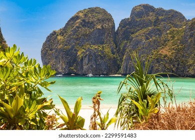 The legendary Maya Bay beach without people where the film 