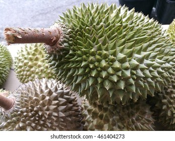 Download 93+ Gambar Durian Kunyit  Gratis HD