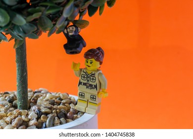 Lego Minifigure Woman In Zoo Keeper Uniform Taking Care Of A Monkey Figure On A Tree. Editorial Image, Close Up Photo, Studio Shot Isolated On Orange Background, Macro Photography. Animal Care Concept