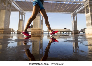 Legs 