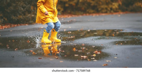 legs of child in yellow rubber boots in a puddle in autumn