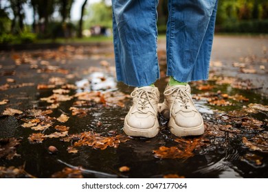 legs close-up in blue jeans and white sneakers standing in a puddle with yellow leaves in rainy autumn in the park - Powered by Shutterstock