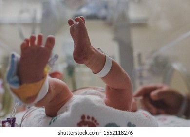 Legs And Feet Of Premature Baby In NICU With Dads Hand Reaching For Baby