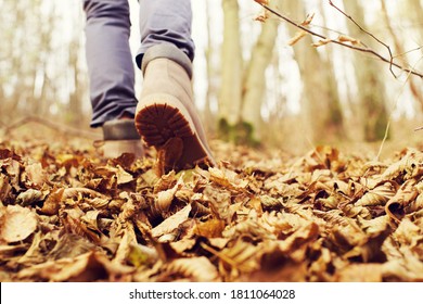 Legs of a girl in brown leather shoes go up the hill through autumn foliage, close-up, rear view, soft focus. Walk in the autumn forest