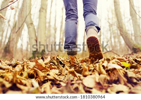 Legs of a girl in brown leather shoes go up the hill through autumn foliage, close-up, rear view, soft focus. Walk in the autumn forest