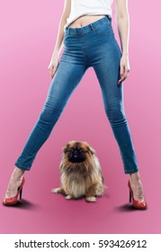 Legs Girl Dressed In Jeans. Pekingese, Also Known As The Lion Dog, Beijing Lion Dog, Pelchie Dog Or PEKE