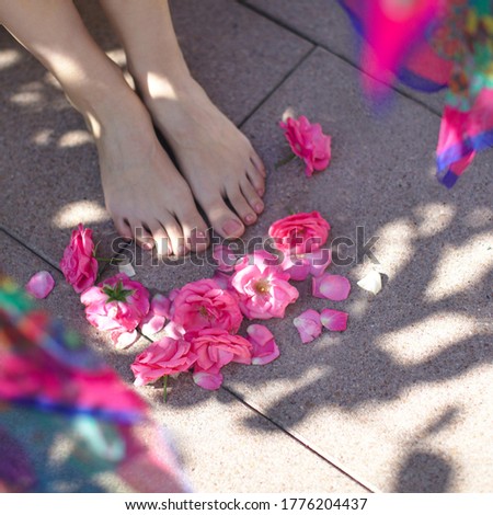 Legs of a girl with a pedicure among roses and flower petals