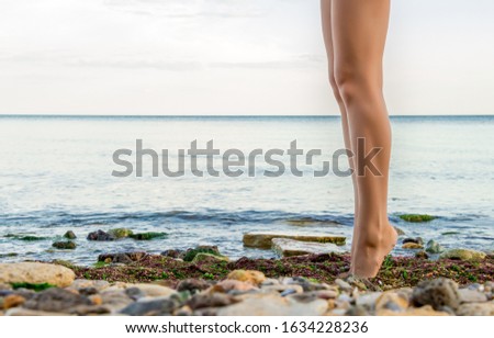 legs of a girl standing at her fingertips, on toes, on the seashore, covered with stones and algae, against the background of a calm sea or ocean, a lot of empty space