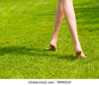 Legs and grass