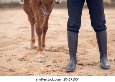 Legs Of A Horse And Equestrian