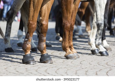 The legs of horses of Horse police units. Policemen and policewomen are participating in a parade at Saint Theodore's day.