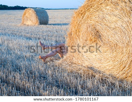 Similar – diving Cornfield Field