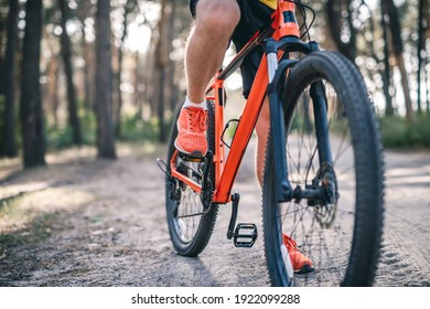 Legs of man in sneakers riding bicycle through pine forest
