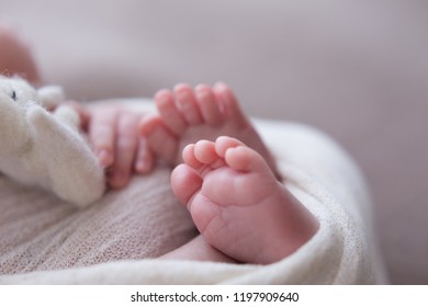 the legs of the newborn baby. the legs of the newborn flaky skin. peel off the skin. peeling skin newborn. newborn child. feet - Powered by Shutterstock