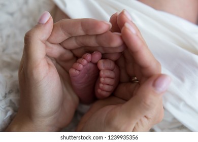 The legs of a newborn baby in the mother's arms. the legs of a newborn baby in his hands . baby's feet. baby feet on khaki background