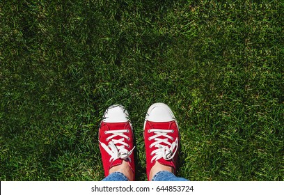 80,658 Green Sneaker Images, Stock Photos & Vectors | Shutterstock