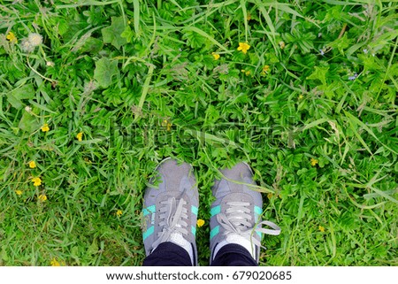Legs in sneakers on green grass