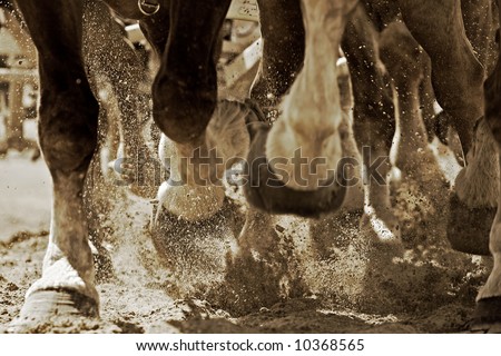 The legs of a team of powerful draft horses pulling their load with energy – can represent teamwork, progress, power, etc. (sepia tint, focus point on exploding sand just behind foreground hooves).