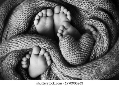 The Legs Of Three Newborn Babies In A Blanket. The Heart Is In The Legs Of Newborn Triplets. Black And White Studio Photography.