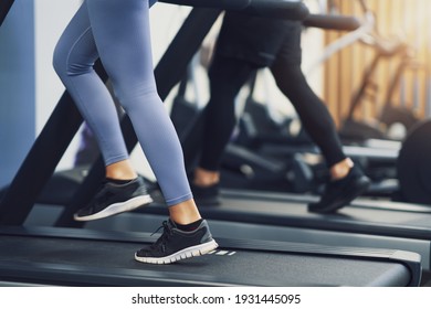 Legs Of Two Girl Friends Working Out On Treadmill