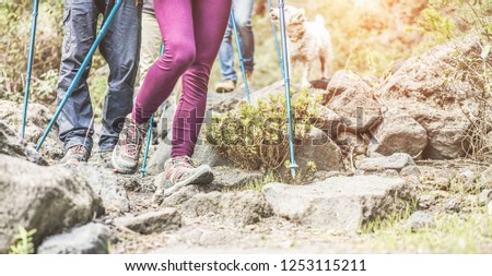 Similar – Image, Stock Photo The survival of the trees in the moorland forest