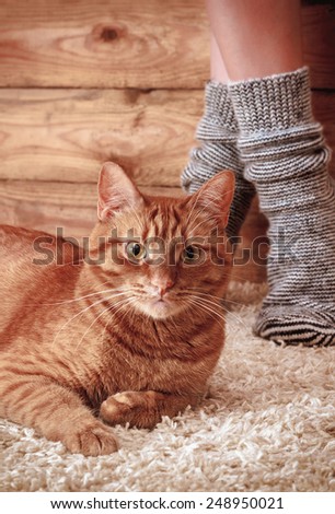 Legs of a woman in gray socks and ginger cat on the carpet on the wooden background. vintage toning
