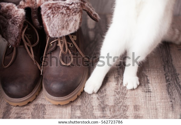 boots for cats in winter