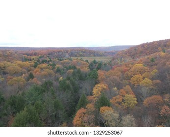 Lehigh Valley Gorge In Autumn