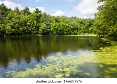 Lehman Township, Pennsylvania, United States of America - September 1, 2016.Pond along the Bushkill Falls Trail in Pennsylvania, United States of America.