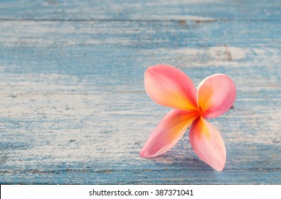 Lei Flower On Blue Wooden Background.