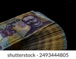 LEI money banknotes, detail photo of RON. Romanian currency