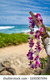 Lei At North Shore Honolulu Hawaii