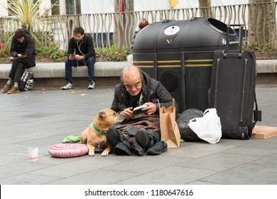 Leicester Square, London, UK, Sept 2018. Homeless man with dog by little bin.