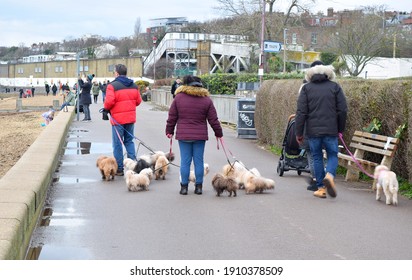 Leigh On Sea, UK December 2020: People Are Walking With Lots Of Small Funny Looking Dogs On Seafront Promenade.