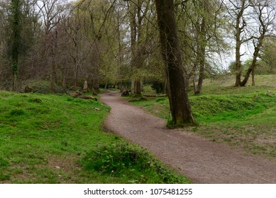 Leigh Woods National Nature Reserve, Bristol, UK