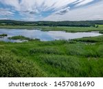 Leighton Moss Nature Reserve, Lancashire. July 2019