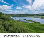 Leighton Moss Nature Reserve, Lancashire. July 2019