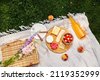picnic top
