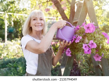 Leisure, lifestyle concept. Happy mature woman watering petunia flowers in pots, gardening in her own summer garden and smiling at camera. - Powered by Shutterstock