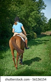 Leisurely Ride on Horse
