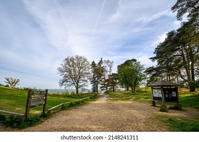 Leith Hill, Surrey, UK: Footpath of the Greensand Way at the summit of Leith Hill. Part of the Surrey Hills Area of Outstanding Natural Beauty.