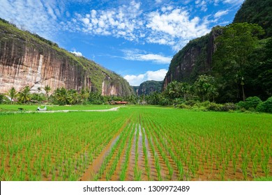 Lembah Harau Geopark