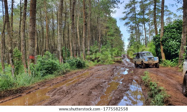 Lembang, Bandung /\
Indonesia - February 29th, 2020: Old and vintage jeep adventure\
touring\
is passing through muddy and runny clay roads\
in the\
jungle / forest
