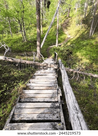 Lemmenjoki, Finland, June 17 2023. We were hiking in Lemmenjoki National Park. On the trip, we learned about the history of gold mining. Stairs.
