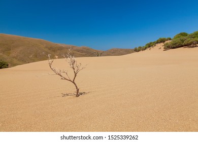 Vegetation Dries Of Greek Island High Res Stock Images Shutterstock
