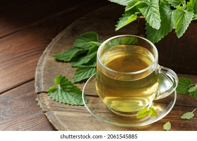 Lemon Balm Herbal Tea In Glass Cup With Fresh Plant Close, Melissa Officinalis Herb Is Used For Sleep, As Digestive, Anxiety, Stress Remedy, Closeup, Naturopathy And Natural Medicine Concept