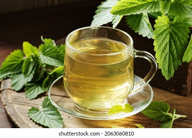 Lemon Balm Herbal Tea In Glass Cup With Fresh Plant Close, Melissa Officinalis Herb Is Used For Sleep, As Digestive, Anxiety, Stress Remedy, Closeup, Naturopathy And Natural Medicine Concept