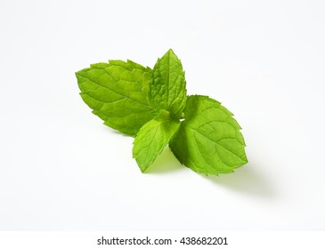 Lemon Balm Leaves On White Background