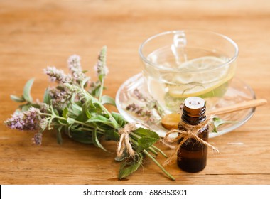 Lemon Balm Oil On Wood Desk With Flower